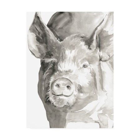 Trademark Fine Art Jennifer Paxton Parker 'Farm Faces III' Canvas Art, 14x19 WAG15738-C1419GG